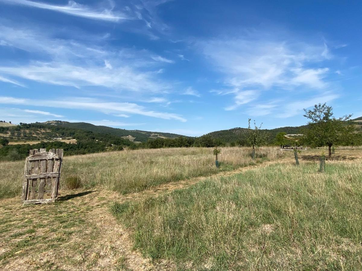 Agriturismo Pian Di Meta Vecchia Castiglione dʼOrcia Exterior foto